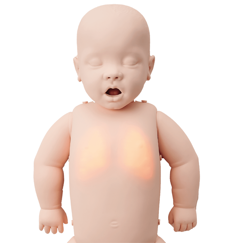 LED BABY CPR訓練模型