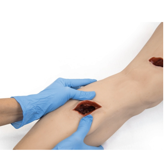 腿部創傷包紮腿模型