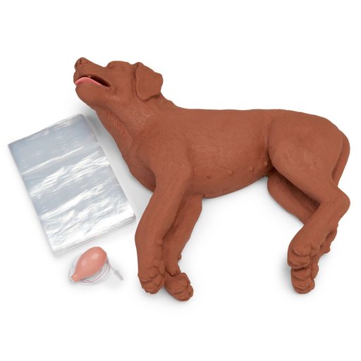 CasPeR CPR Dog Manikin